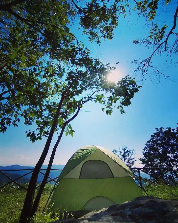 Mudippara Camping Hotel Chillithodu