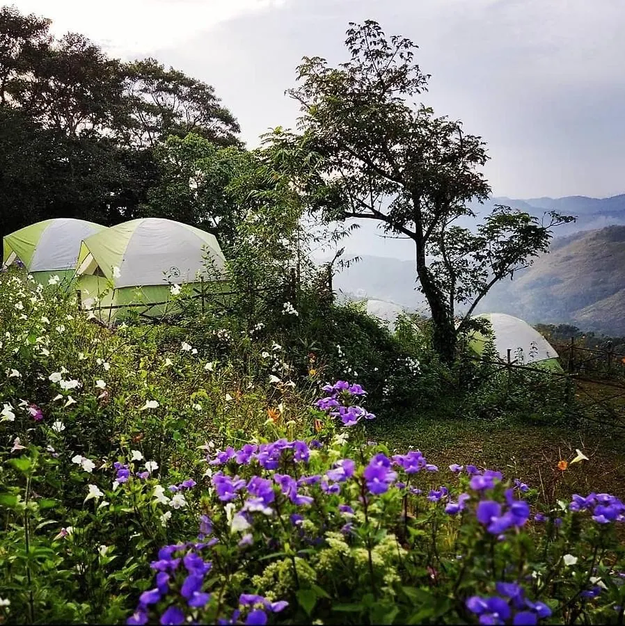 キャンプ場 ホテルMudippara Camping Chillithodu